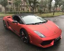 中国游泳巨,星亮相多哈,游泳大师赛,星力捕鱼平台,星力十代捕鱼游戏,正版星力捕鱼,星力捕鱼app