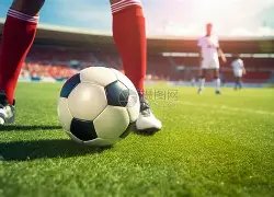 稳中求胜,高胜率皇牌,战局,星力捕鱼平台,星力十代捕鱼游戏,正版星力捕鱼,星力捕鱼app